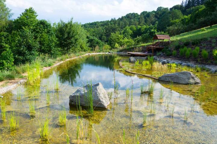 Baignade naturelle Saint-Germain-des-Fossés